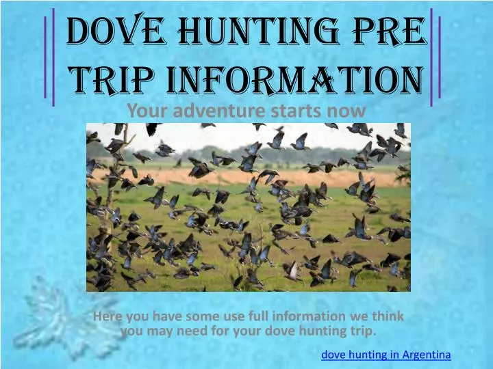 dove hunting pre trip information