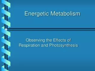 Energetic Metabolism