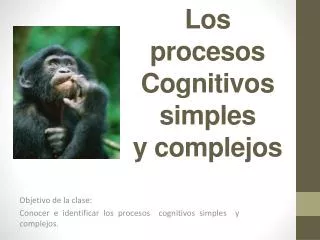 los procesos cognitivos simples y complejos