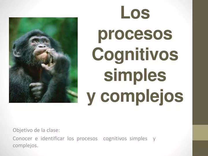 los procesos cognitivos simples y complejos