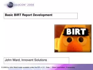 Basic BIRT Report Development