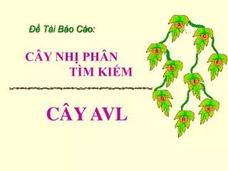 t i b o c o