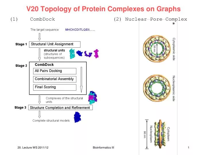 v20 topology of protein complexes on graphs