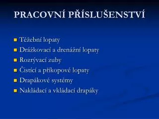 pracovn p slu enstv