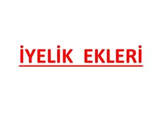 yel k ekler