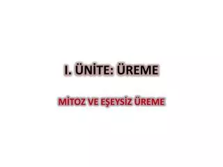 i n te reme