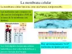 La membrana celular - slide 1