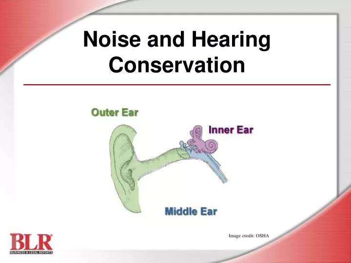 noise and hearing conservation