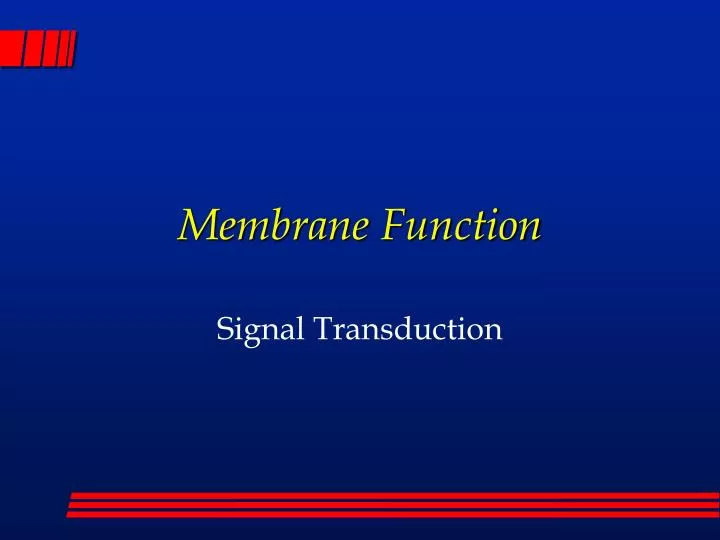 membrane function