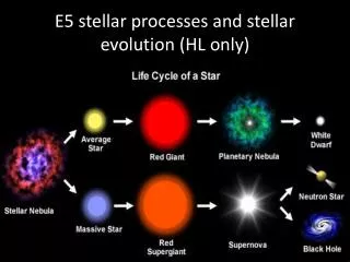 E5 stellar processes and stellar evolution (HL only)