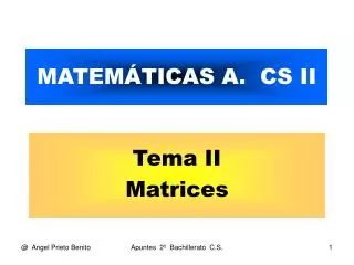 matem ticas a cs ii