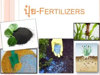 fertilizers