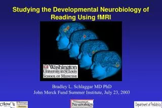 Studying the Developmental Neurobiology of Reading Using fMRI