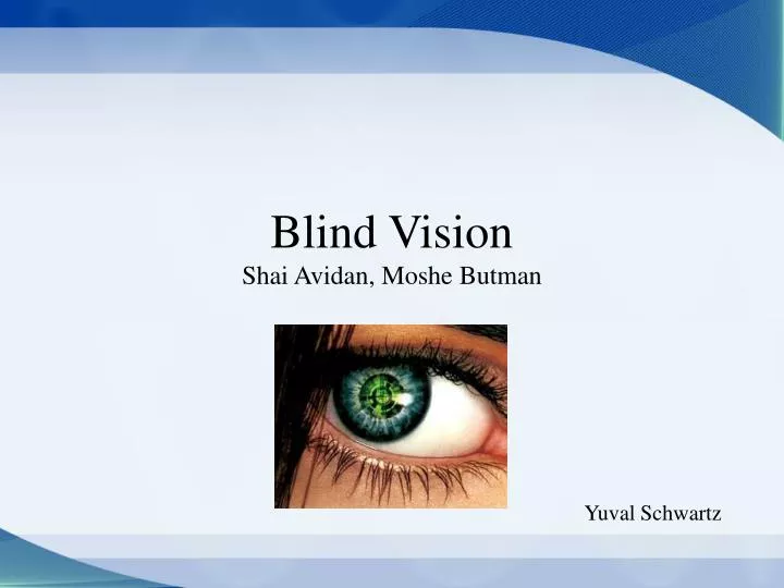 blind vision shai avidan moshe butman