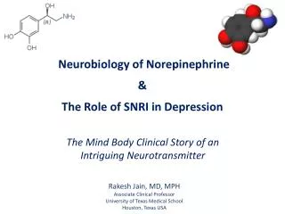 Neurobiology of Norepinephrine &amp; The Role of SNRI in Depression