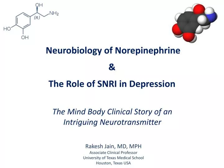 neurobiology of norepinephrine the role of snri in depression