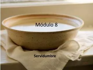 m dulo 8