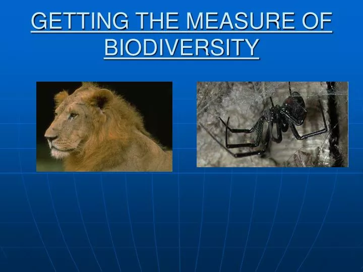 getting the measure of biodiversity