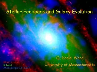 Stellar Feedback and Galaxy Evolution