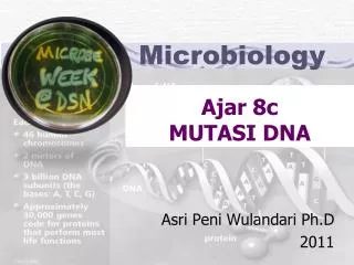 ajar 8c mutasi dna