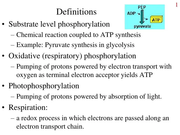 definitions