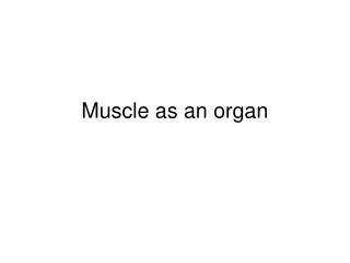 Muscle as an organ