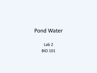 Pond Water