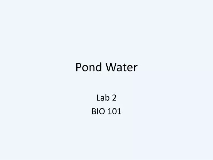 pond water