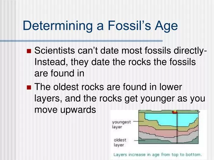 determining a fossil s age