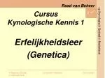 Cursus Kynologische Kennis 1 - slide 1