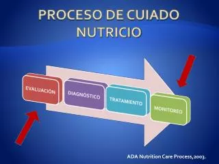 proceso de cuiado nutricio