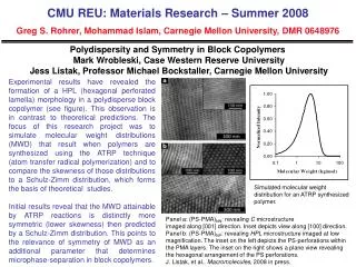 Polydispersity and Symmetry in Block Copolymers Mark Wrobleski, Case Western Reserve University