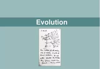 evolution