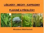 LIŠEJNÍKY - MECHY - KAPRADINY PLAVUNĚ A PŘESLIČKY - slide 1
