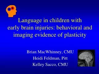 Language in children with early brain injuries: behavioral and imaging evidence of plasticity