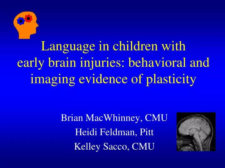 language in children with early brain injuries behavioral and imaging evidence of plasticity
