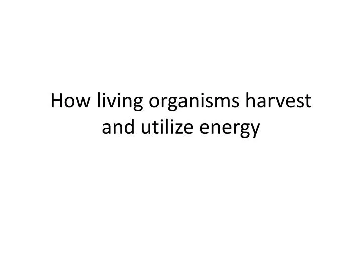 how living organisms harvest and utilize energy