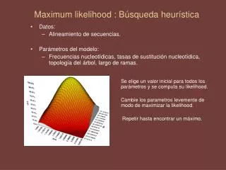 maximum likelihood b squeda heur stica