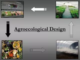 Agroecological Design