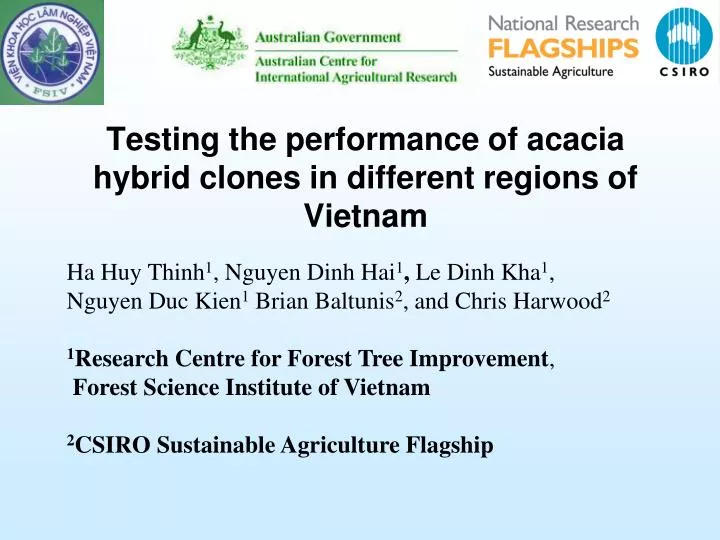 testing the performance of acacia hybrid clones in different regions of vietnam