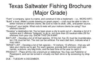 Texas Saltwater Fishing Brochure (Major Grade)