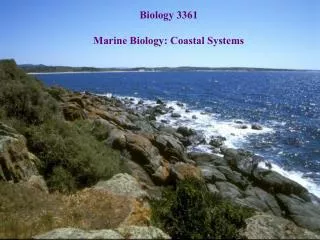 Biology 3361 Marine Biology: Coastal Systems