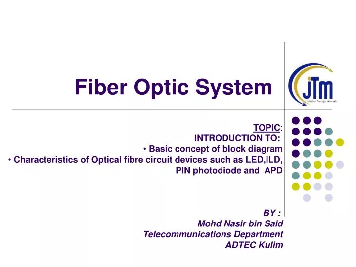 fiber optic system