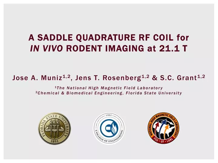 a saddle quadrature rf coil for in vivo rodent imaging at 21 1 t