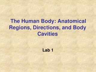 the human body anatomical regions directions and body cavities