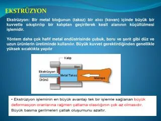 ekstr zyon