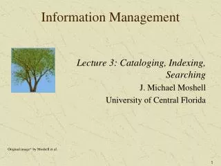 Information Management