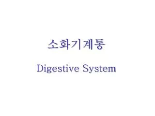digestive system