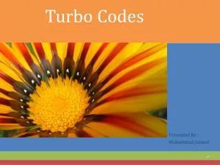 Turbo Codes