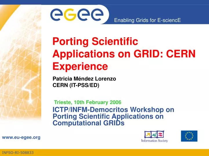 porting scientific applications on grid cern experience